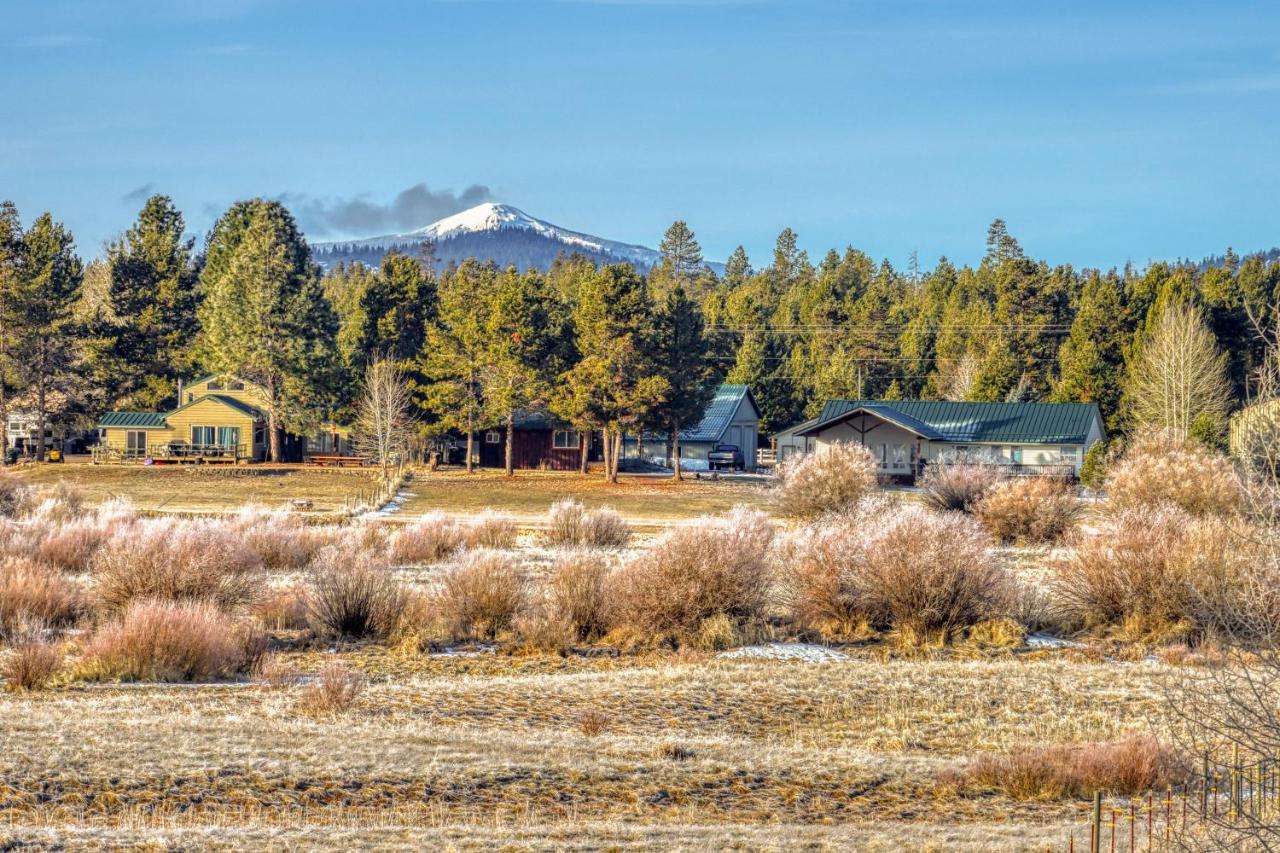 Meadow Walk Cabin ลาปีน ภายนอก รูปภาพ