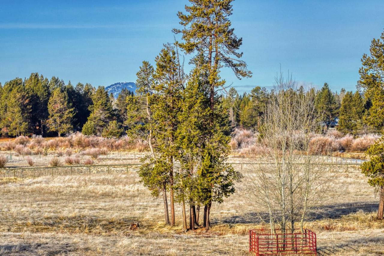 Meadow Walk Cabin ลาปีน ภายนอก รูปภาพ